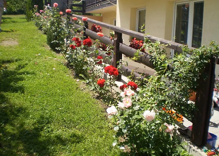 Apartments Vila Velickovic