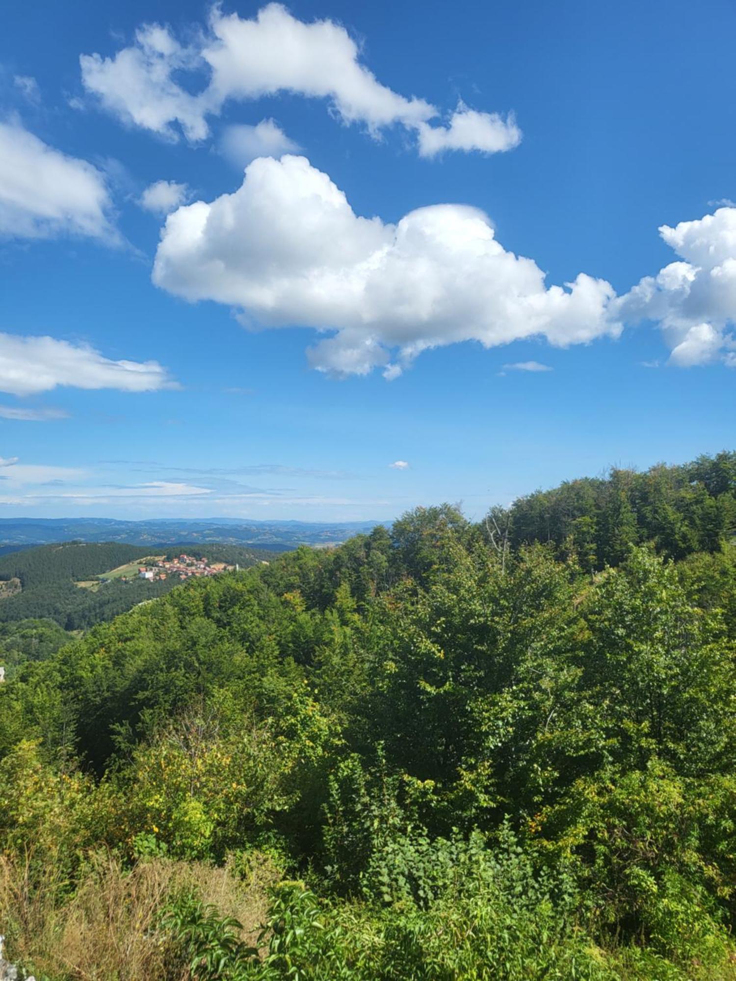 Velickovic * Zlatibor