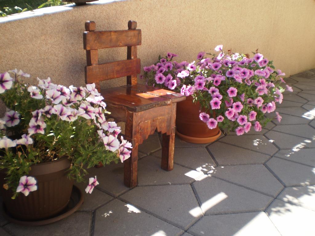 Apartment Velickovic *